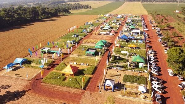 Jornada de campo en Colonias Unidas, porque hay que seguir - Nacionales - ABC Color