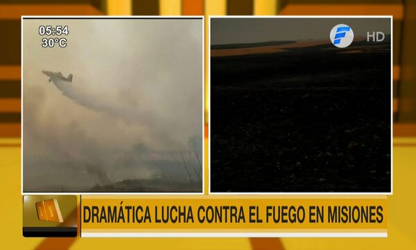 Dramática lucha contra el fuego en Misiones | Telefuturo