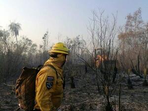 Mano dura para los responsables de los incendios: bomberos piden tener “un respiro”, ya no dan abasto – Prensa 5