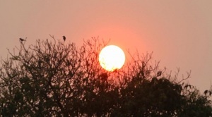 Mitad de semana con calor extremo, lluvias y ocasionales tormentas eléctricas