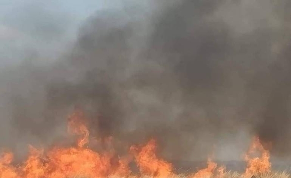 Diario HOY | San Juan Bautista declara emergencia ambiental a raíz de los incendios