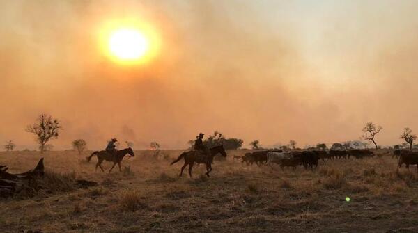 Incendios generan grandes pérdidas, mucha preocupación y no hay buenas perspectivas