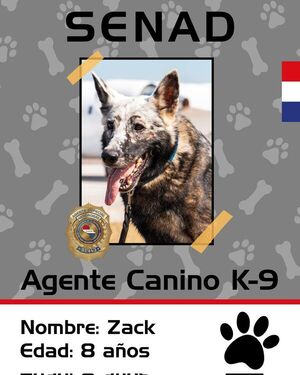 Al agente Zack no se le escapa la droga - Mascotas - ABC Color