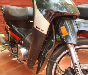 No paran hurtos de motocicletas en Concepción