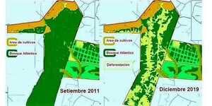 Ambientalistas lanzan alaridos por el calentamiento global, pero no se inmutan por la brutal devastación de Pindó – La Mira Digital