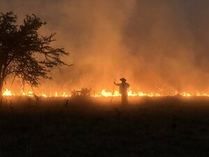 Tres años continuos de 'incendios insoportables', denuncia WWF Paraguay