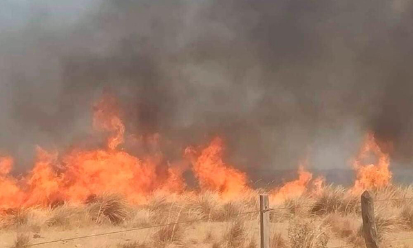 Declaran emergencia ambiental a raíz de los incendios en San Juan Bautista - OviedoPress