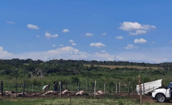 Diario HOY | Hombres armados atacan establecimiento en Loreto y faenan una docena de vacas