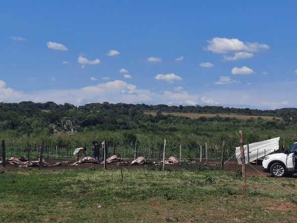 Hombres armados faenaron 12 animales de una estancia en Loreto - Megacadena — Últimas Noticias de Paraguay