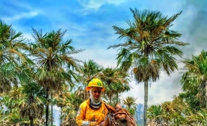 Diario HOY | Bombera recorre a caballo para luchar contra los incendios