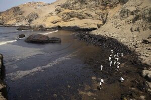 Playas negras, aves muertas y las miradas contra Repsol en el derrame de Perú - MarketData
