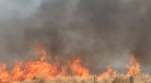 San Juan Bautista declara emergencia ambiental a raíz de los incendios