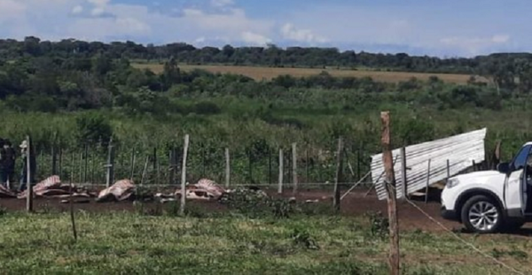 Hombres armados atacan establecimiento en Loreto y faenan una docena de vacas - Noticiero Paraguay