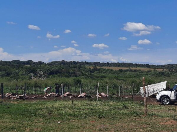 Abigeato en una Estancia en Loreto: Seis personas se identificaron como fuerzas especiales del ACA