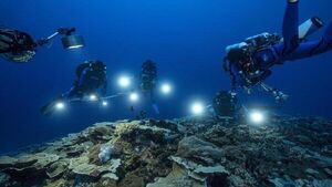 Descubren uno de los arrecifes de coral más extensos del mundo