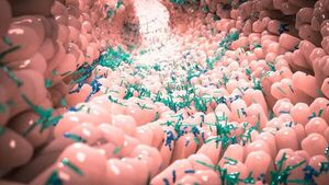 Hallan diferencias en la microbiota intestinal de las personas con depresión - Ciencia - ABC Color