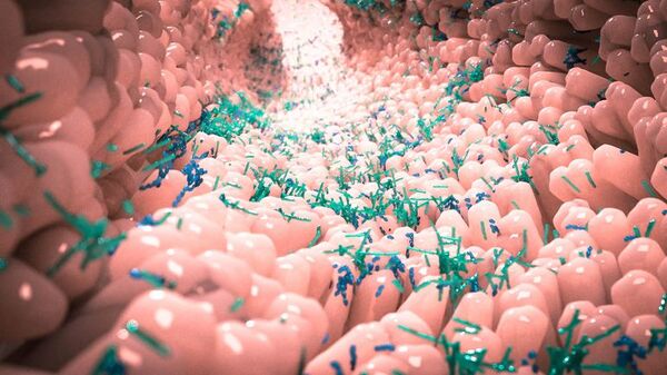 Hallan diferencias en la microbiota intestinal de las personas con depresión - Ciencia - ABC Color
