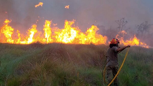 Ministro Llamosas aclara que se tienen los recursos para enfrentar incendios | OnLivePy