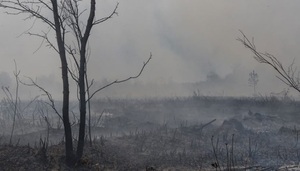 Lluvias apagaron incendios en varios departamentos del país