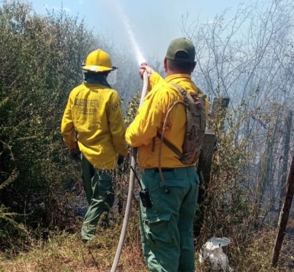 Bomberos alertan sobre riesgos de incendios por ola de calor y sequía | Radio Regional 660 AM