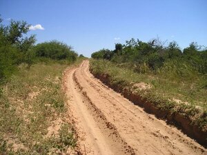 Escasez de lluvias y extremo calor en Boquerón