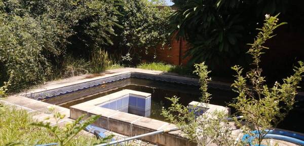 Crónica / Aumentan casos de dengue, la enfermedad "rompe huesos"