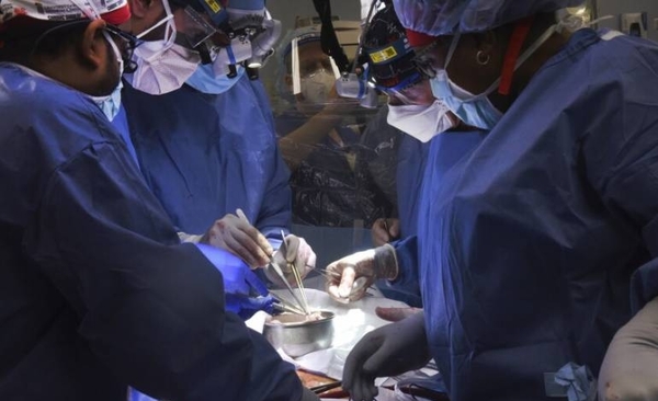 Diario HOY | Equipo médico de EEUU realiza otro trasplante de riñón de cerdo a humano