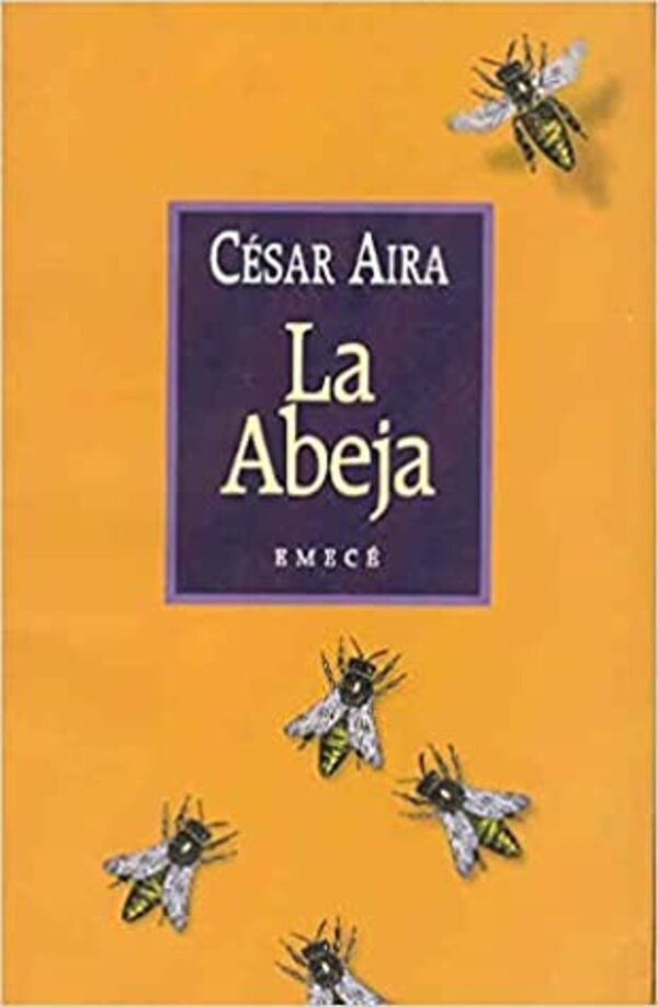El sentido de la política en César Aira - El Trueno