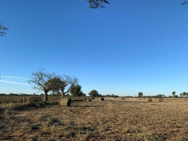 Prometen asistencia a comunidades indígenas afectadas por la sequía en el Chaco - Noticias del Chaco - ABC Color