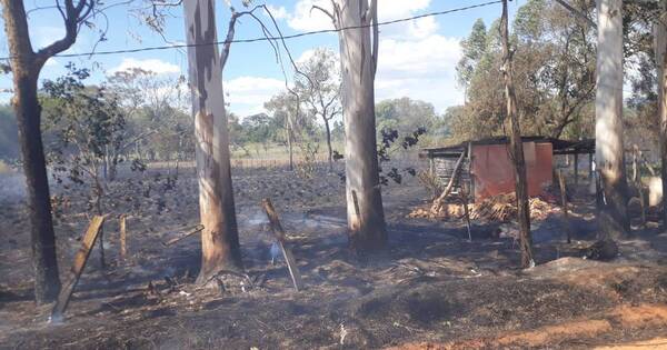 La Nación / Incendios provocados en San Pedro dejan millonarias pérdidas a pequeños productores