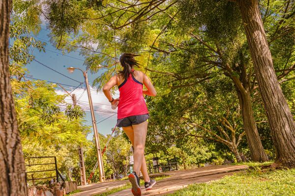 Actividades recreo deportivas de verano en la SND - El Independiente