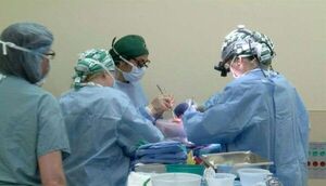 Equipo médico de EEUU realiza otro trasplante de riñón de cerdo a humano