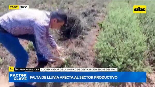 Falta de lluvia afecta al sector productivo - Factor Clave - ABC Color