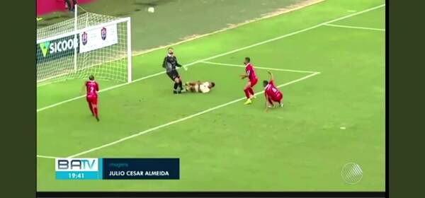 Crónica / Se mandó un golazo, pero al estilo Chavo, “sin querer queriendo”