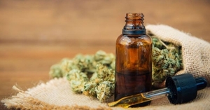 Diario HOY | Ensayo en ratones sugiere que el cannabidiol evita replicación del SARS-CoV-2