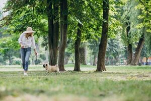 Ante el tremendo calor, ¿cuáles son las razas de nuestras mascotas que más sufren?