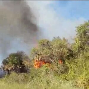 Incendio en pastizal puso en riesgo una estación de servicios en Luque - Nacionales - ABC Color