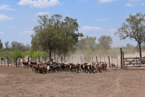 AFD dispone de US$ 100 millones para productores afectados por sequía