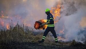 Analistas coinciden en que menor PIB será una de las consecuencias de crisis ambiental (la magnitud del daño aún no se puede medir)