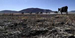 La falta de lluvias se extendería hasta marzo – Prensa 5