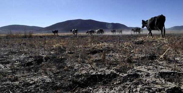 La falta de lluvias se extendería hasta marzo – Prensa 5