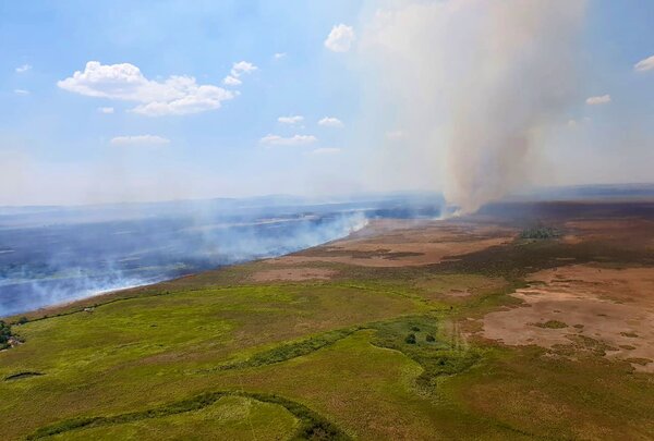 Emergencia climática: El impacto económico, las medidas y las acciones para prevenirla - MarketData