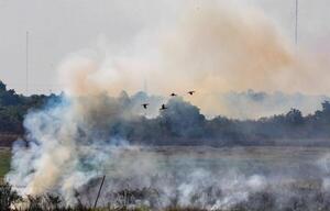 Estas son las recomendaciones sanitarias ante ola de incendios