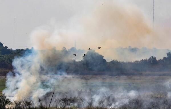 Estas son las recomendaciones sanitarias ante ola de incendios