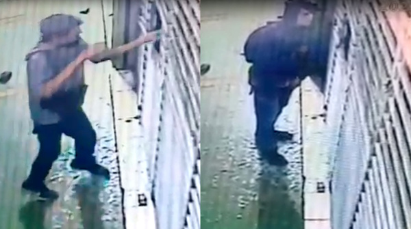 Dos ladrones violentan cerradura de una farmacia e ingresan a robar - La Clave