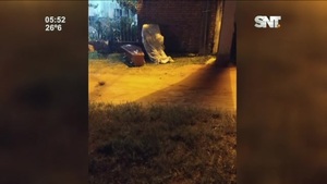 Noche y Madrugada: Cuerpo abandonado en la calle - SNT