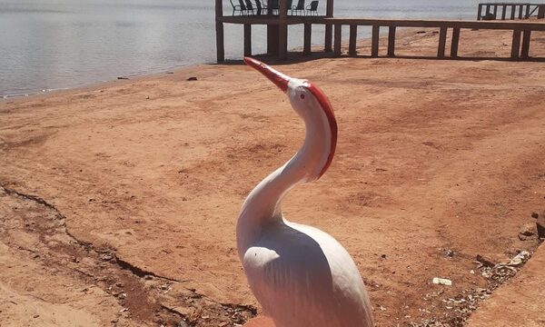 Inician acciones para promover turismo en costas del Acaray en Hernandarias