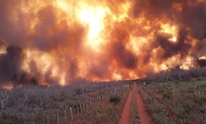 SEN elabora proyecto de ley que delimitará responsabilidades en quemas de campos