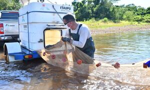 Estación Acuicultura de Itaipu logró la reproducción de 3.500.000 peces en el 2021