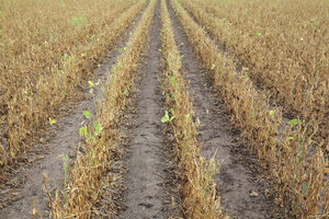 CAPPRO prevé pérdidas por US$ 2.500 millones por sequía